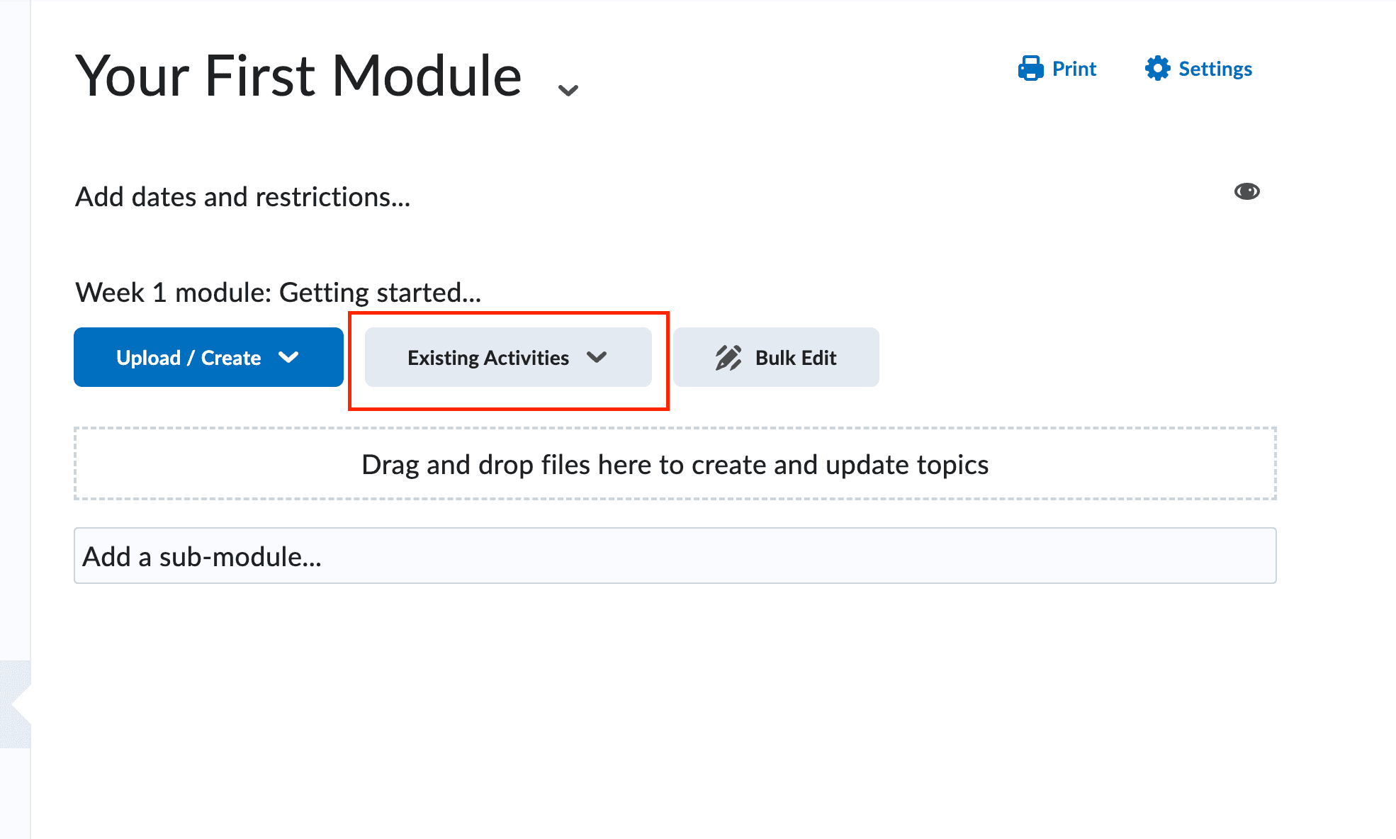 Brightspace existing activities